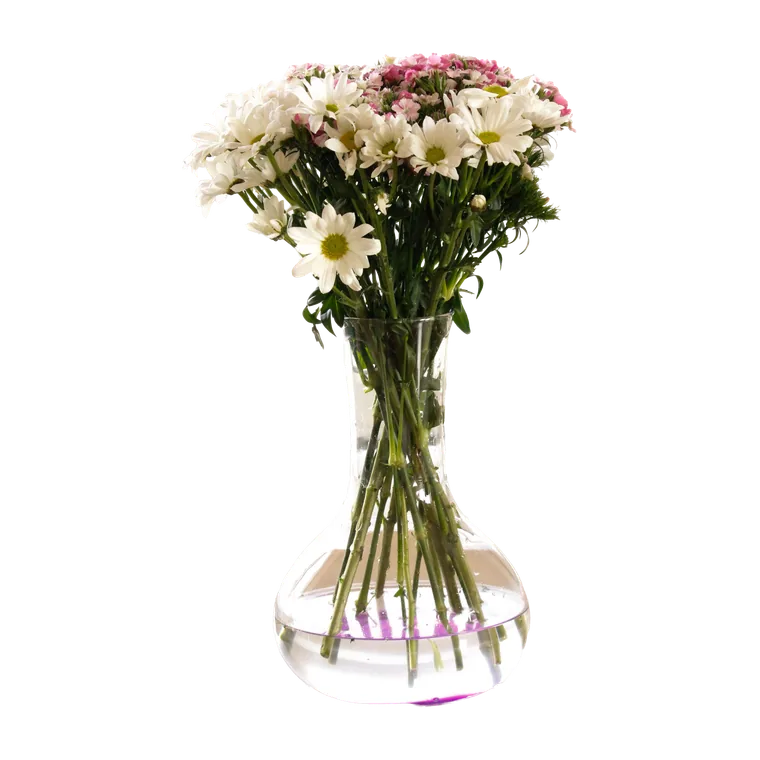 White daisies in a clear glass vase on a bright windowsill
